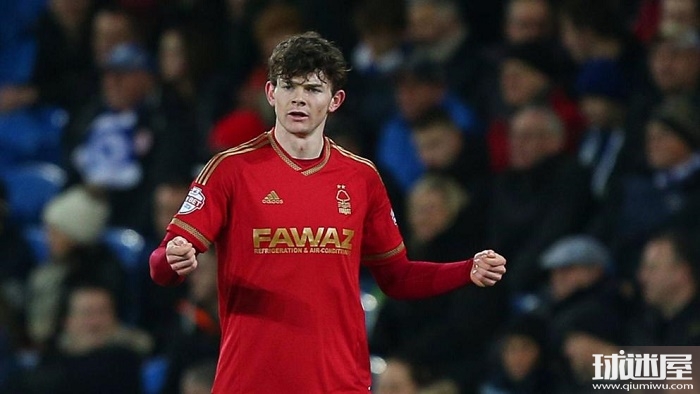 手的故事 手的故事